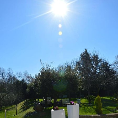 Tenuta Terra Tefra Villa Conca della Campania Eksteriør bilde