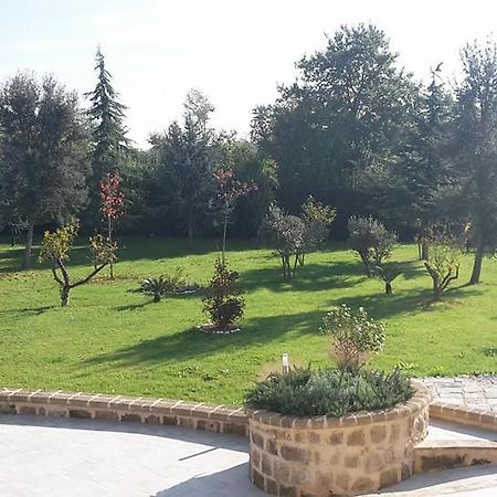 Tenuta Terra Tefra Villa Conca della Campania Eksteriør bilde
