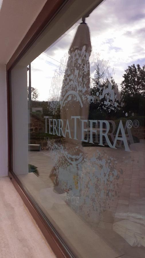 Tenuta Terra Tefra Villa Conca della Campania Eksteriør bilde