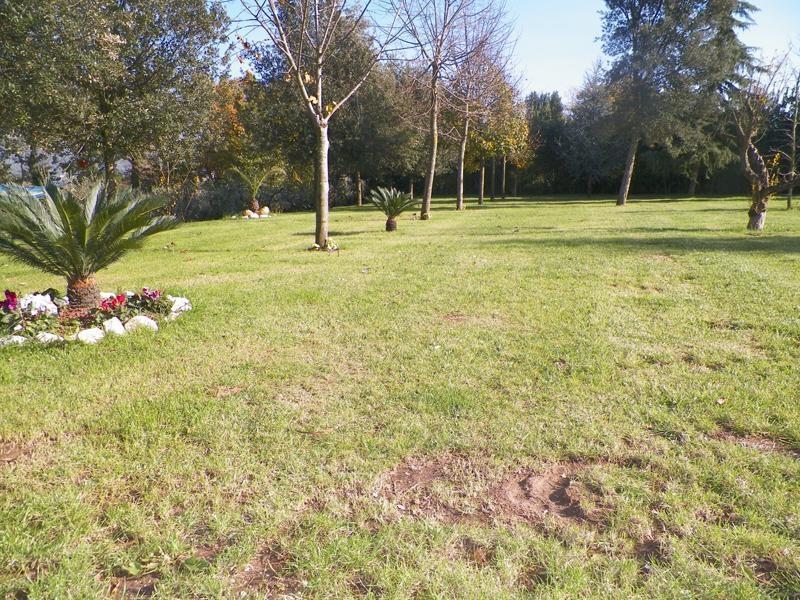 Tenuta Terra Tefra Villa Conca della Campania Eksteriør bilde