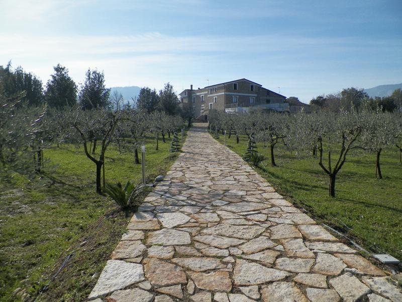 Tenuta Terra Tefra Villa Conca della Campania Eksteriør bilde