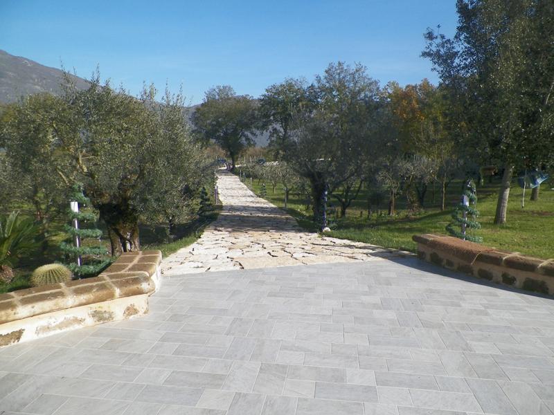 Tenuta Terra Tefra Villa Conca della Campania Eksteriør bilde