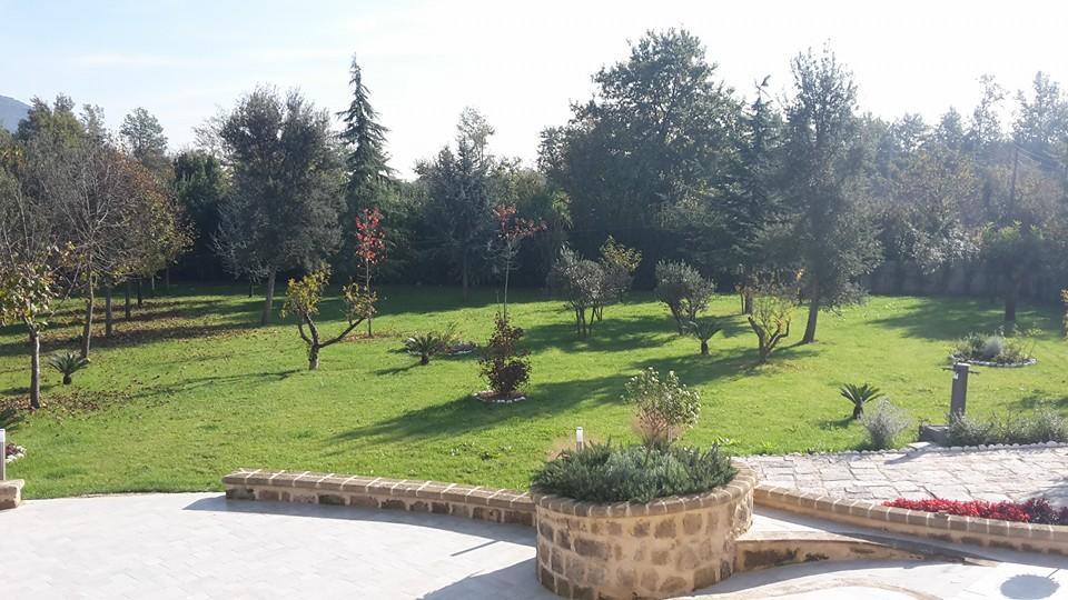 Tenuta Terra Tefra Villa Conca della Campania Eksteriør bilde